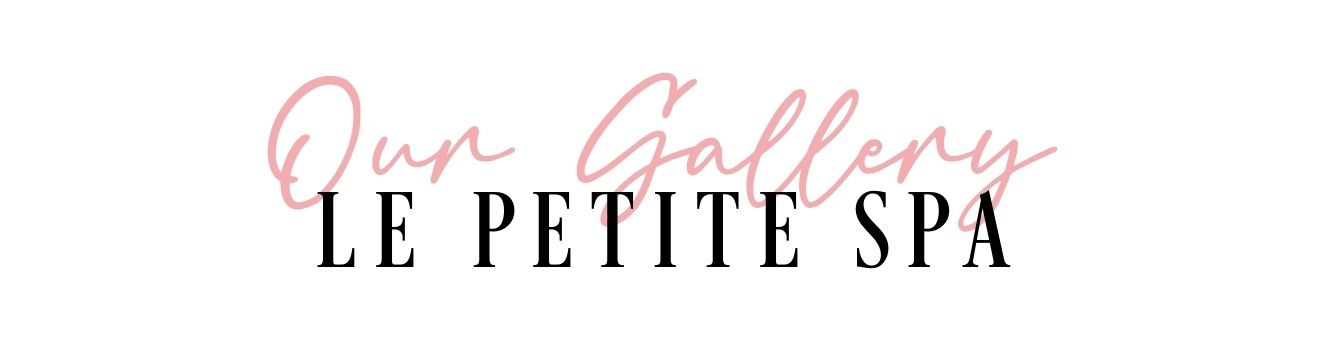 Our Gallery
